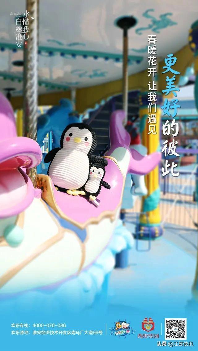 龙宫大白鲸早上几点开门,大白鲸龙宫最新消息