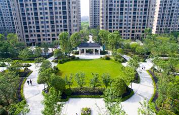 浙大发展很快,浙大为什么越来越强