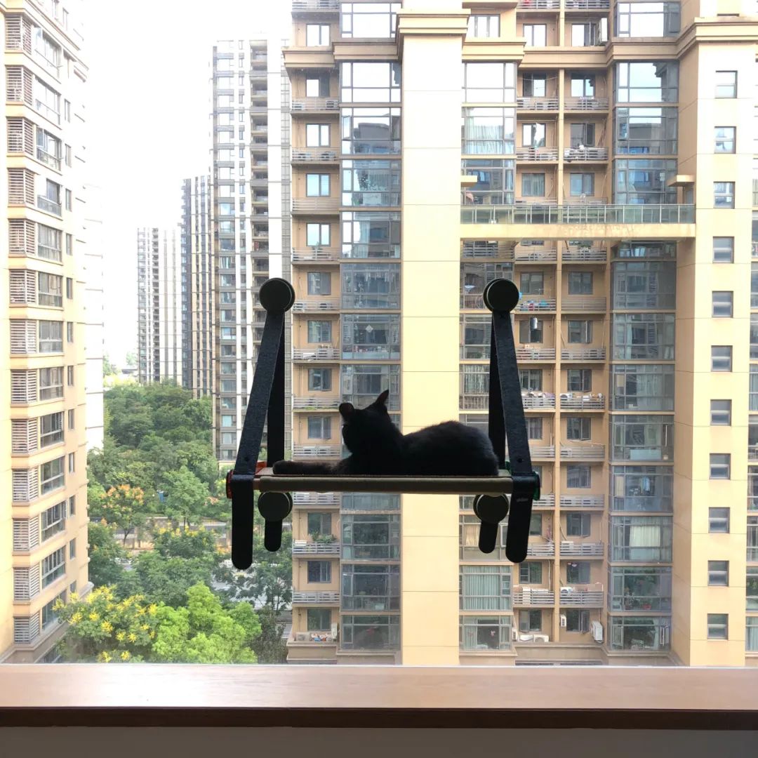 邻居秀家|细节控的家有多治愈?单凭她家开关就能出圈了