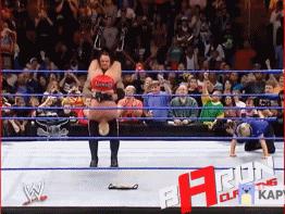 wwe最强的十大终结技,wwe十大最强必杀技