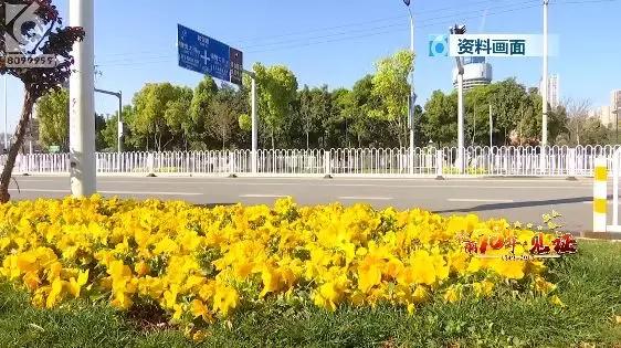 壮丽70年·见证|市城管局：当好春城“大管家”城市管理更高效