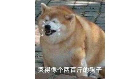 猫砂丢干垃圾还是湿垃圾,猫砂和猫屎可以扔垃圾桶吗