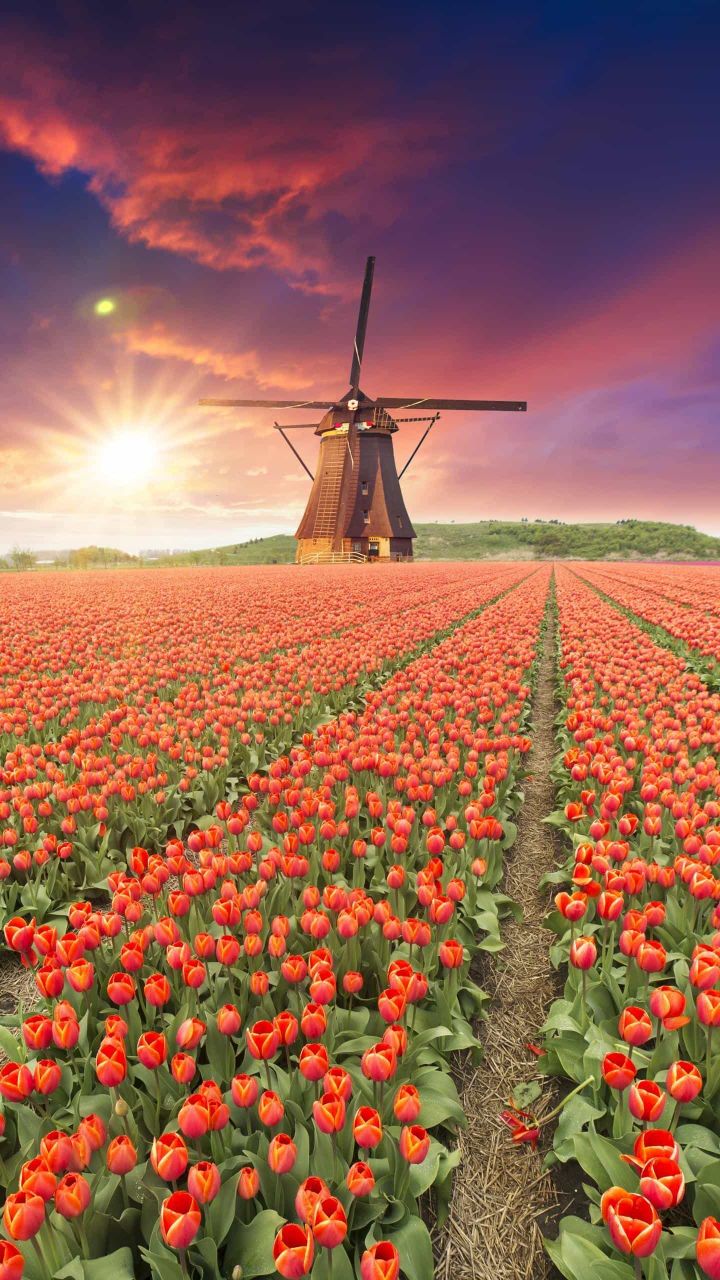 文科生汉语言文学专业就业前景,文科生考研什么专业就业前景好