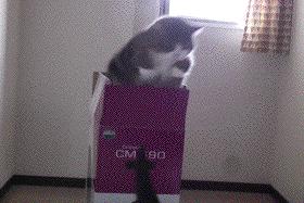 “抽过的烟头”、“半死不活的蚊子”,这些奇葩商品刷新网友三观