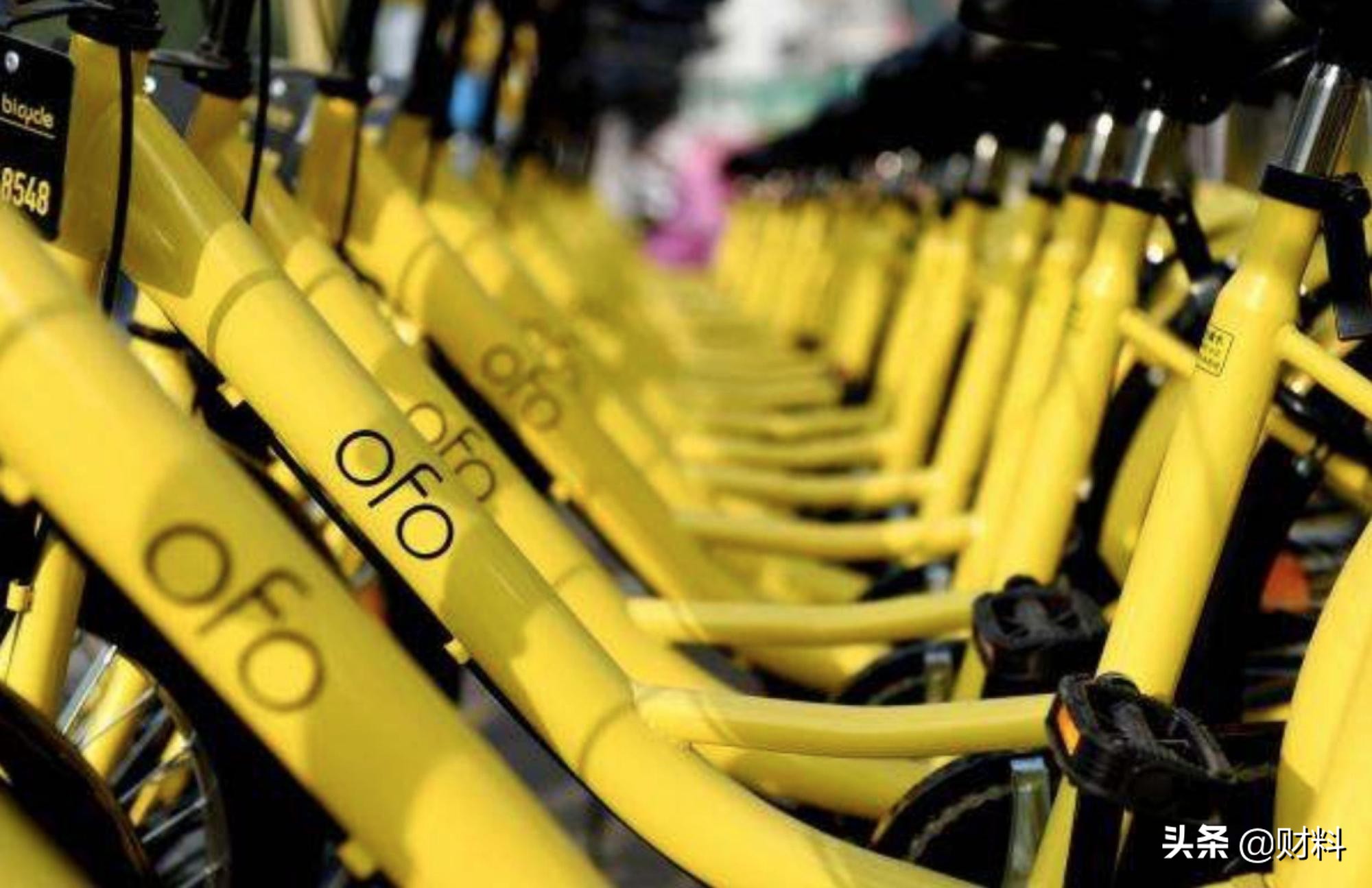 ofo小黄车最新消息,ofo小黄车消失后又出现了什么