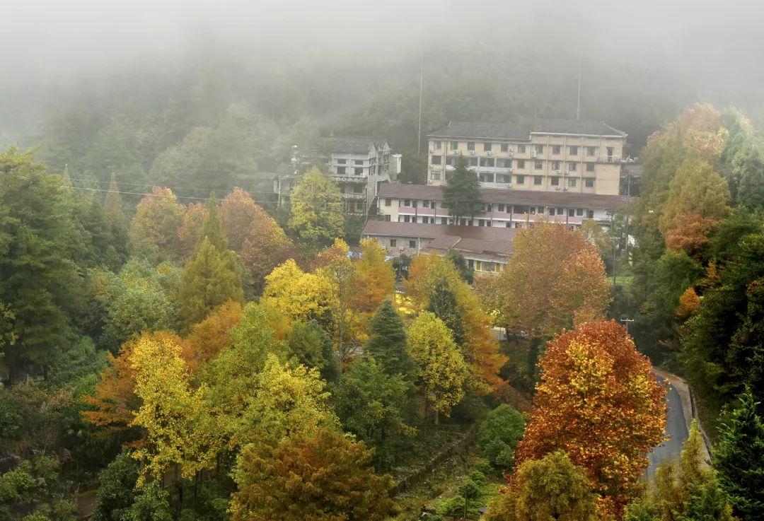 缙云旅游景点拍照攻略,缙云景区拍照攻略视频