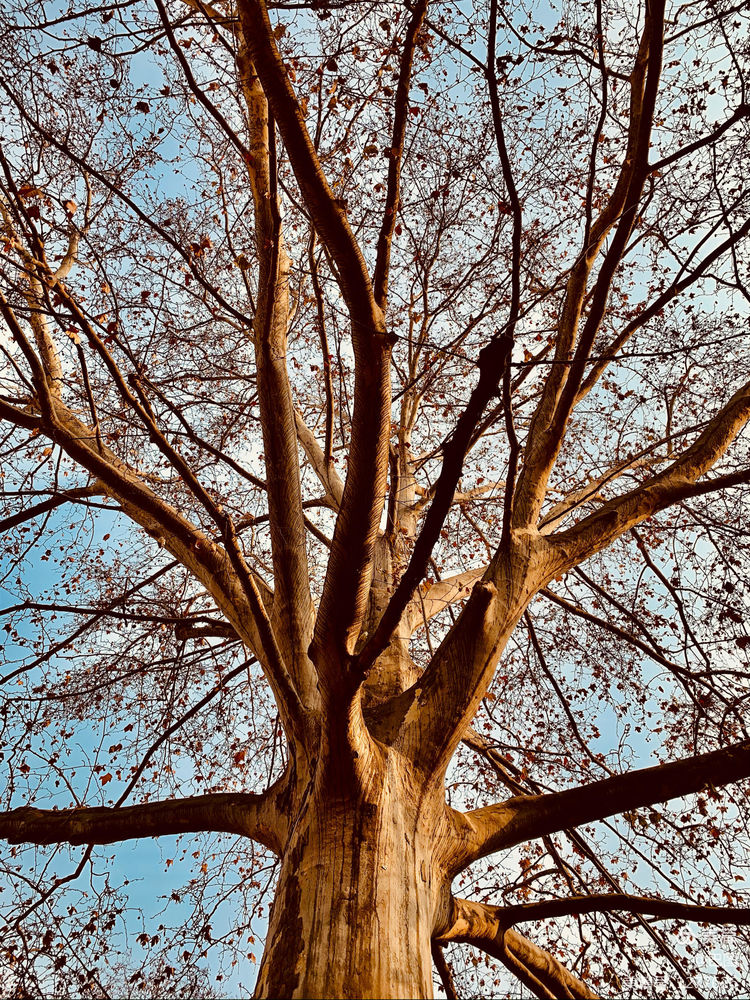新安老家怀旧行,洛玻砂岩矿成为历史,洛阳水泥厂辉煌不再
