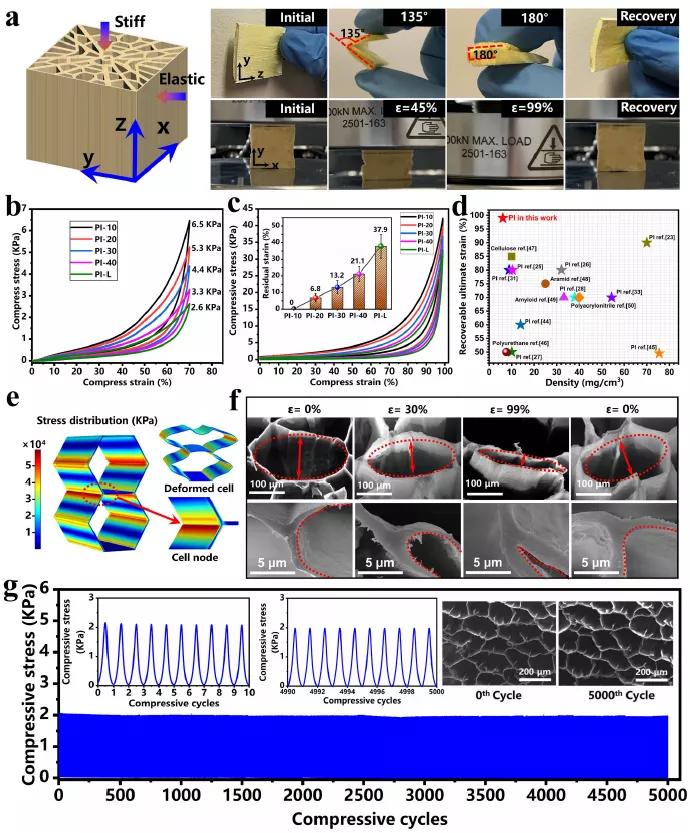 复旦大学研制的凝胶,复旦大学高分子研究团队