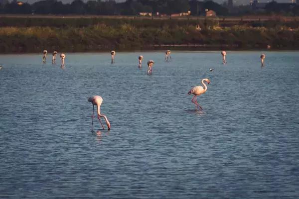 克罗地亚十日自驾游详细攻略,克罗地亚10天自驾游
