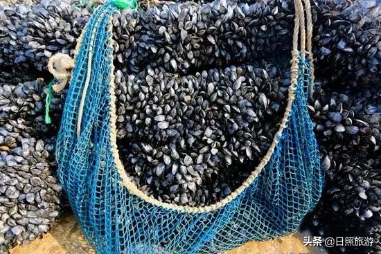 又是一年吃螃蟹的时候,又是一年吃蟹好时节