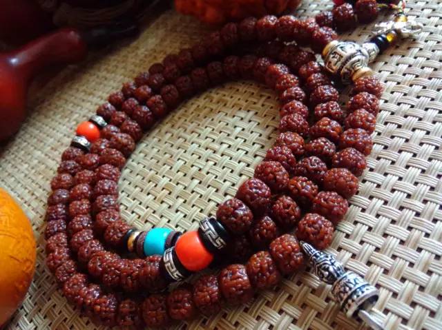 小金刚菩提最终是怎么样的,小金刚菩提子怎么看是真是假