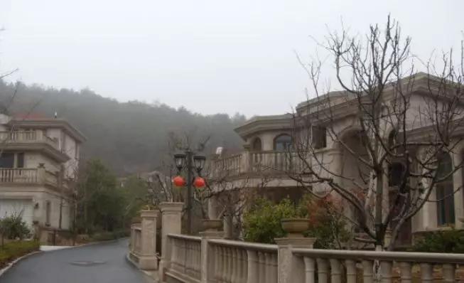 南京别墅降价急售,南京最贵别墅3年缩水2800万