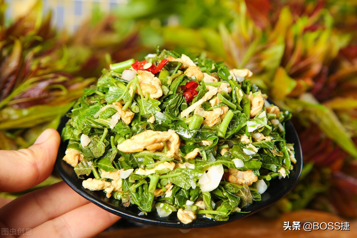 吃香椿食物中毒,吃香椿中毒会出现什么症状