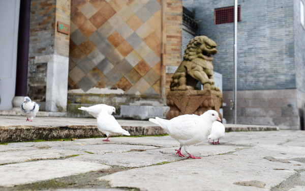 律宗祖庭隆昌寺,隆昌寺是律宗第一寺