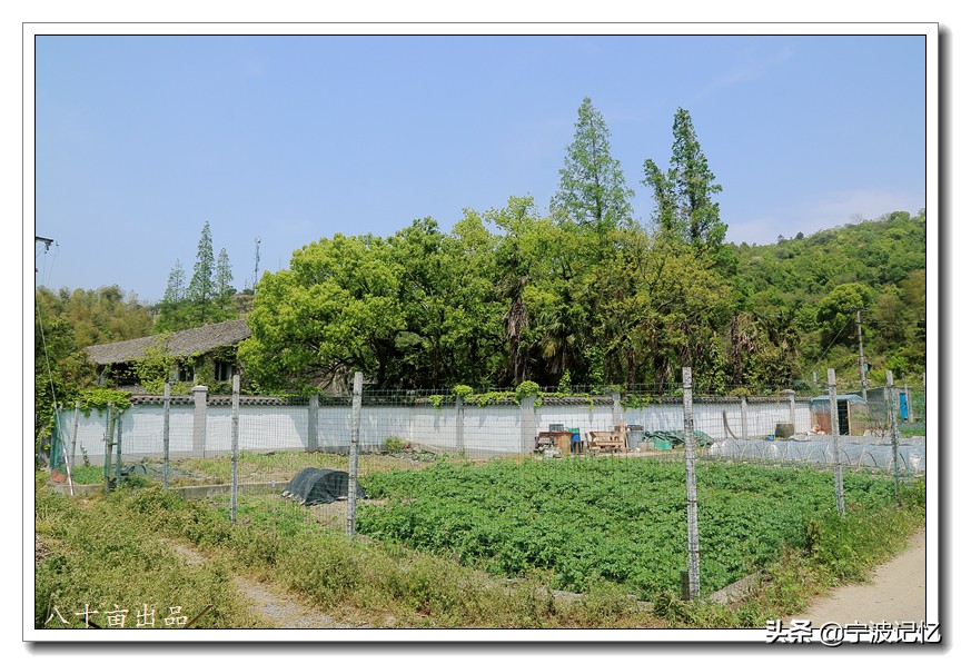 走访*片鸦**战争大宝山战役所在地——妙湾古村(宁波慈城)