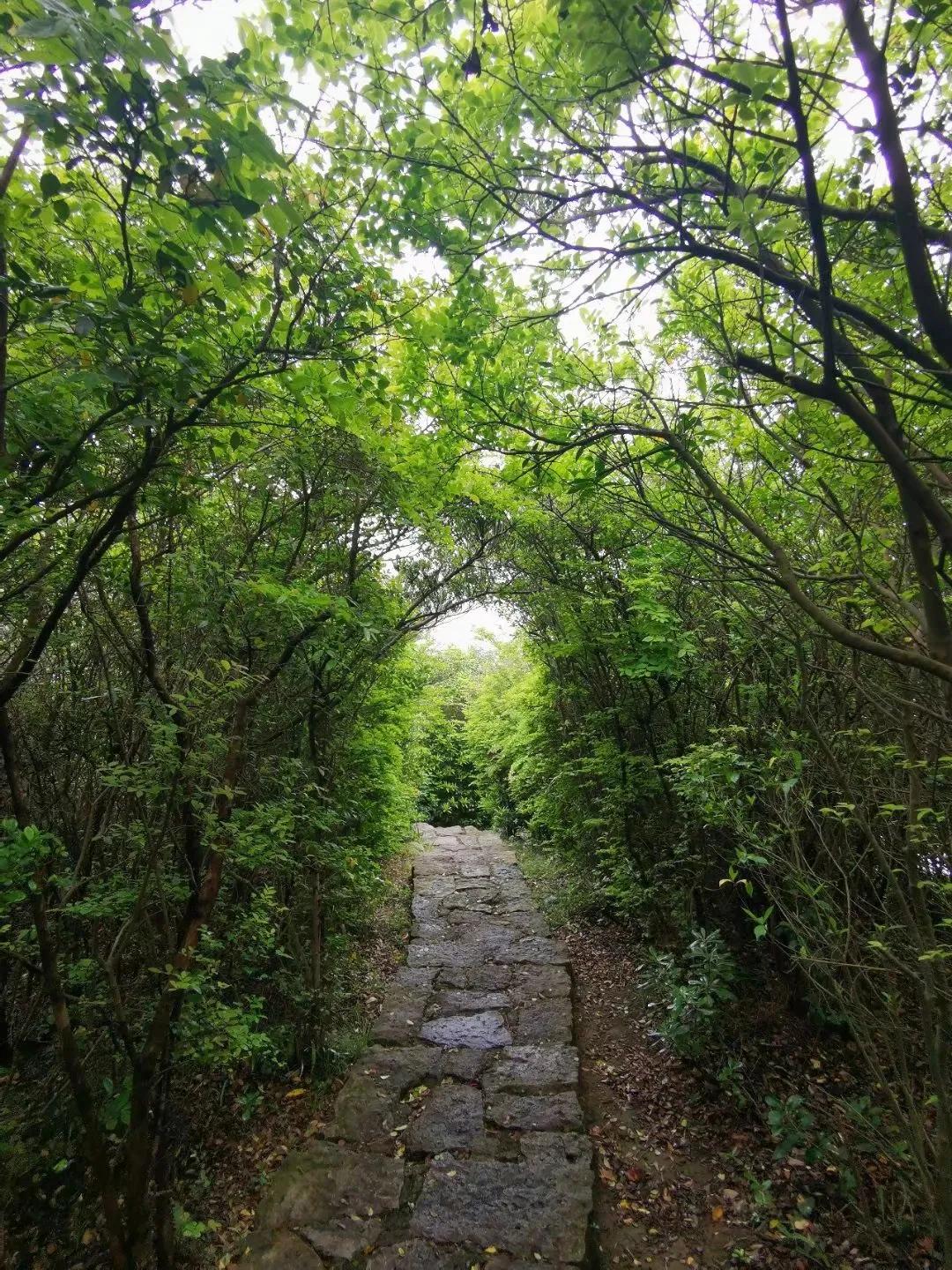 舟山桃花岛最佳旅游时间,舟山桃花岛游玩攻略