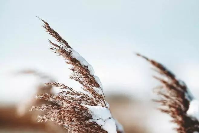 心理学家怎么释放技能,心理学如何最快攻克一个人内心