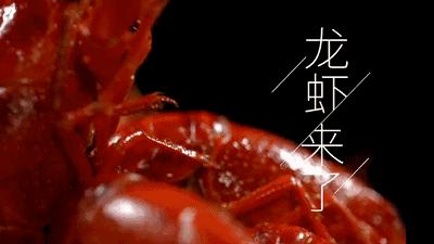 武汉头牌虾庄,武汉虾庄折扣