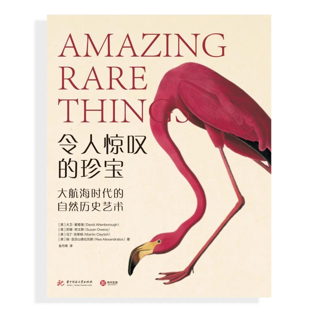 2021年最值得推荐的50本书单,2020最值得读的10本书新书