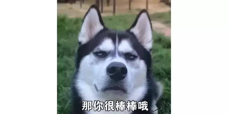 那些超便宜但巨好用的国货,双十一必买好物推荐不超过9元