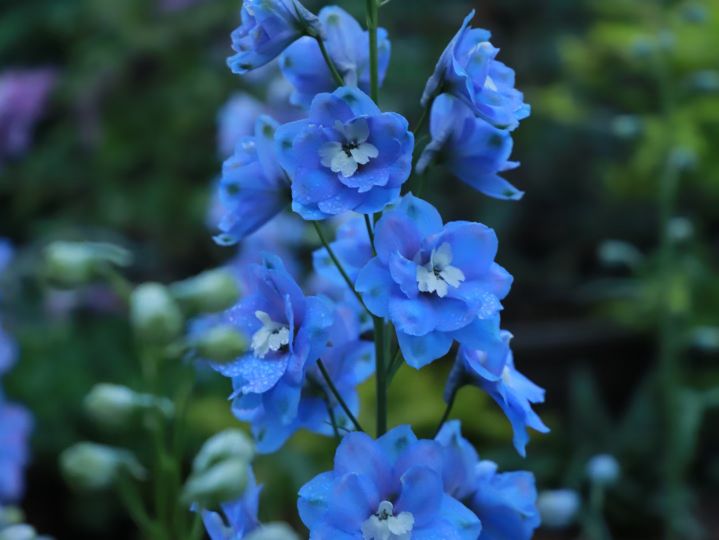 怎么判断文言文偏义复词偏在哪里,高考文言文实词趣味讲解