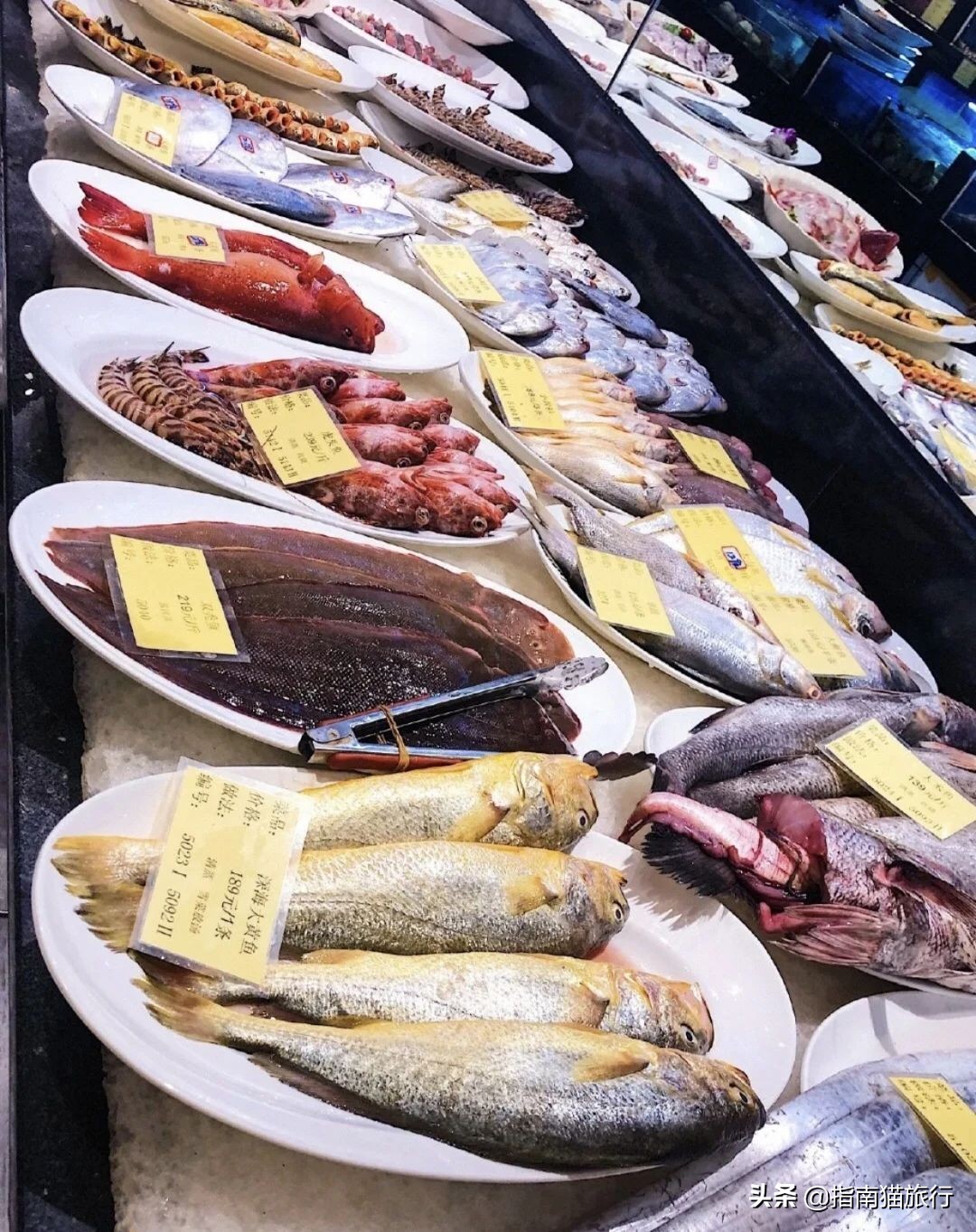 夏天去哪个海边吃海鲜最合适,适合吃货去的海边城市