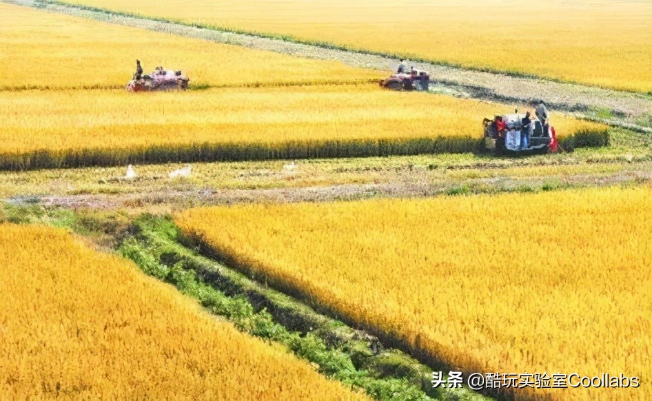 北京三环农田,北京三环麦田房价