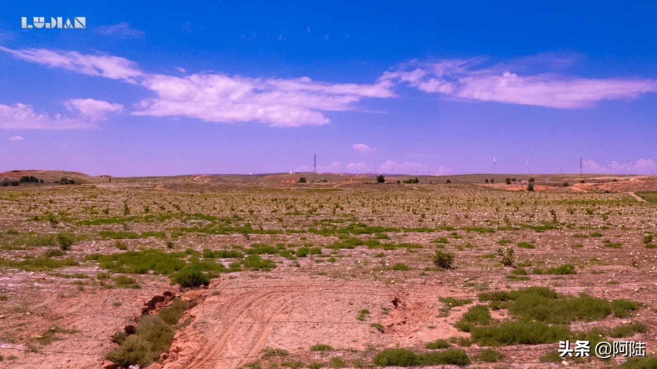 宁夏中卫硒砂瓜长在戈壁滩,吴忠市硒砂瓜也禁止种植吗