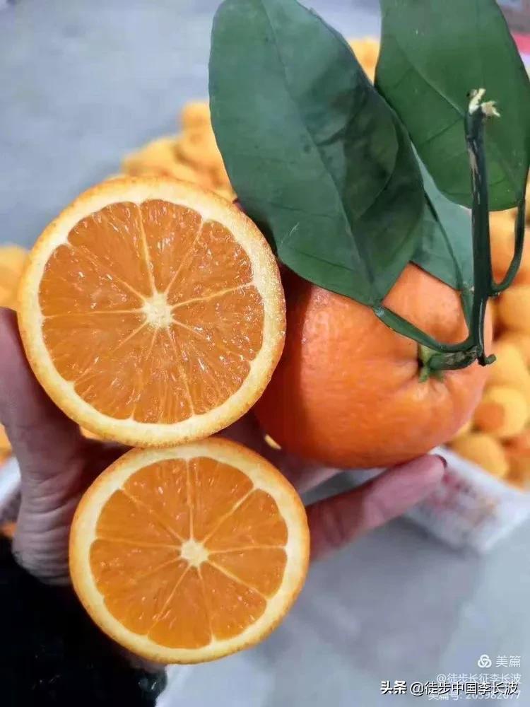 曲靖校园足球比赛,云南2022青少年足球联赛曲靖