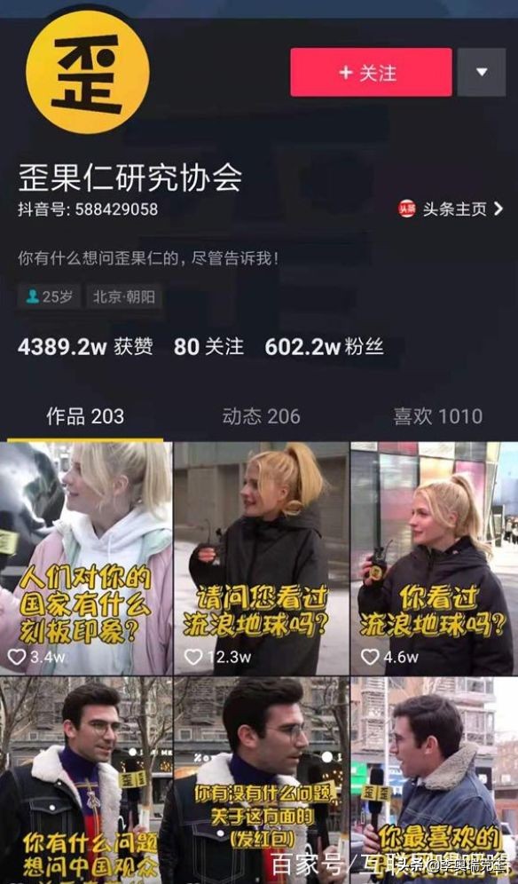 豌豆公主和孔雀公主,豌豆公主与恐龙公主