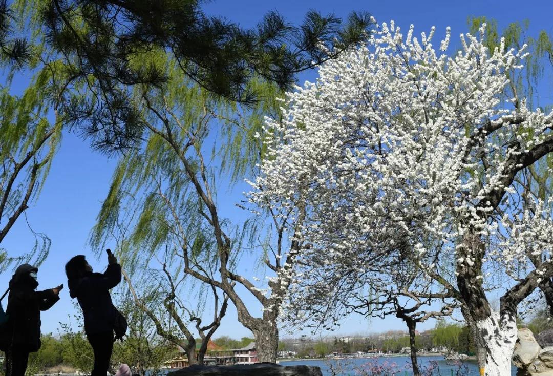 安全出行宝典,北京安全出游好去处