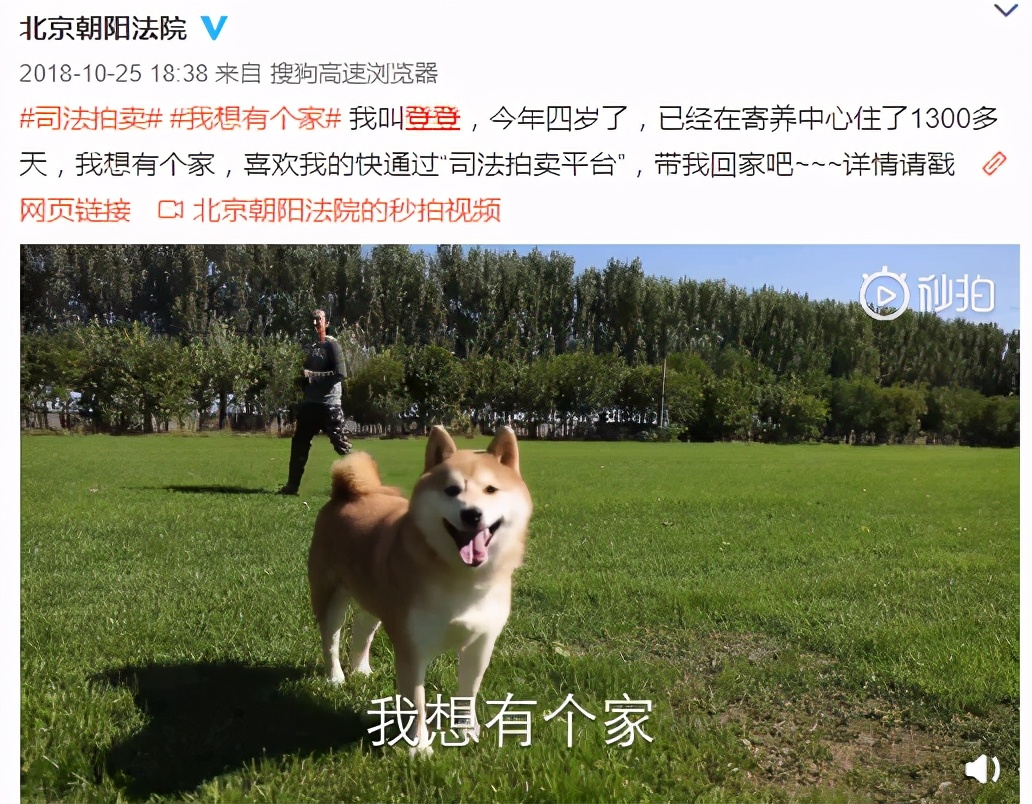 阿里拍卖能捡到便宜吗,阿里拍卖的东西靠谱么