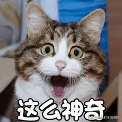 海鲜中的霸道总裁-帝王蟹，味蕾上的极致诱惑