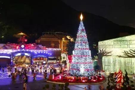 香港海滨长廊圣诞节,香港圣诞打卡地唯美视频