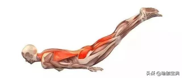 适合男性锻炼的瑜伽改变体质,男士提高力量的瑜伽
