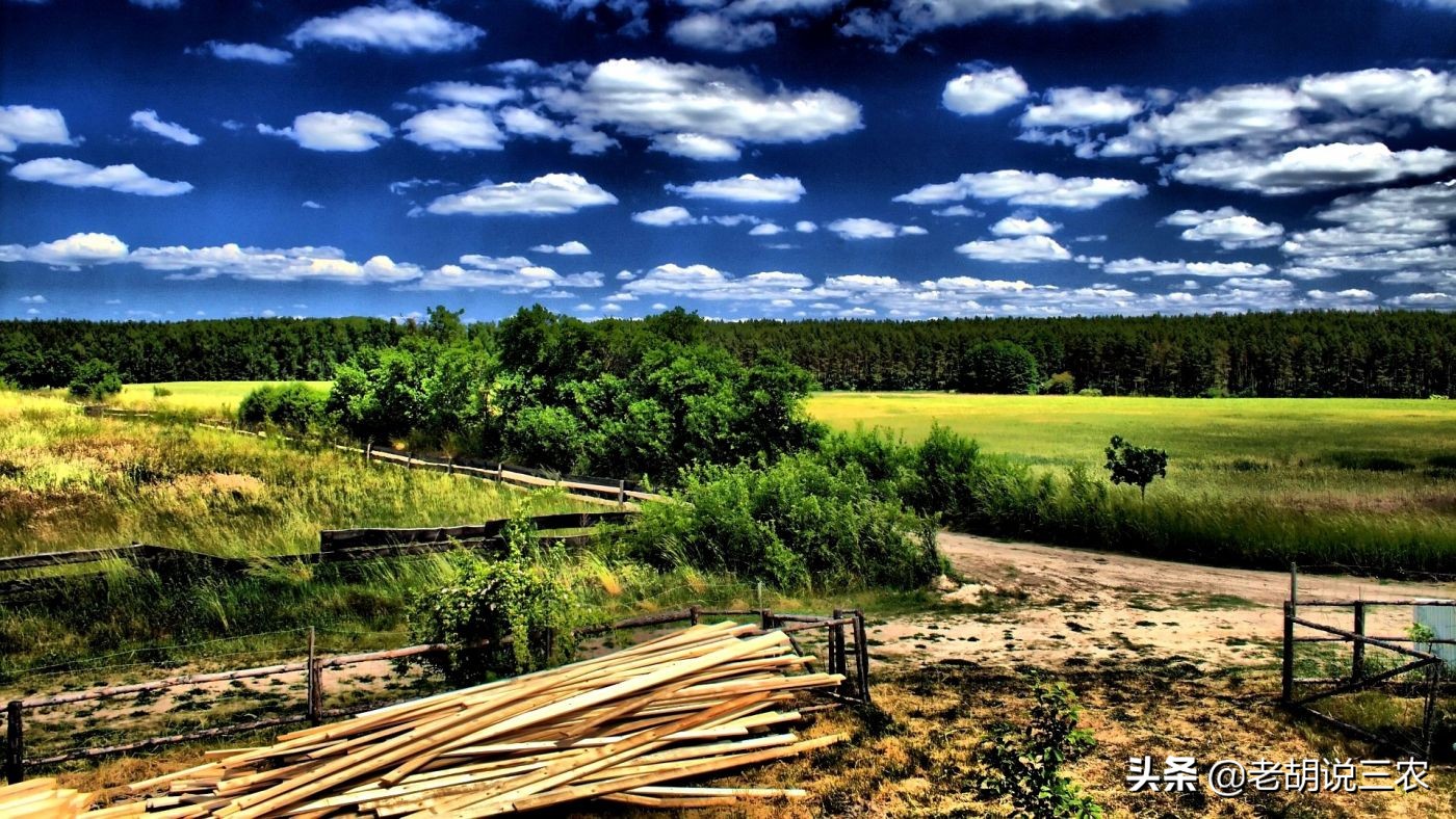 邻居地里种树影响我家农作物生长,农田旁边种树影响我怎么办