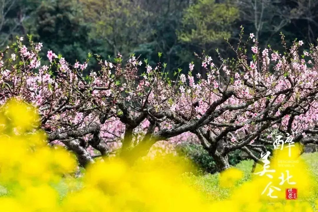 北仑旅游攻略大全集,北仑旅游攻略