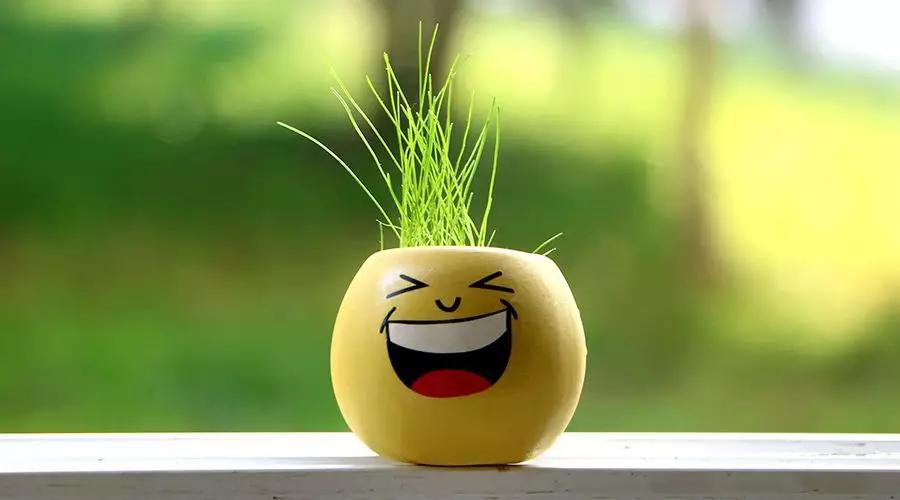 孕吐吃什么菜比较缓解孕吐,孕吐吃话梅缓解孕吐吗