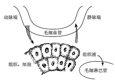 老人输液整个手脚浮肿怎么回事,老人输液水肿