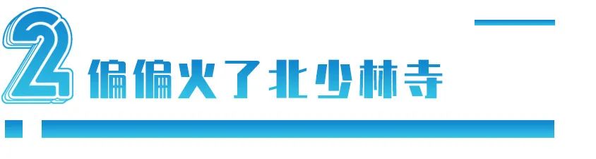 河南少林寺价值,少林寺的商业帝国是什么