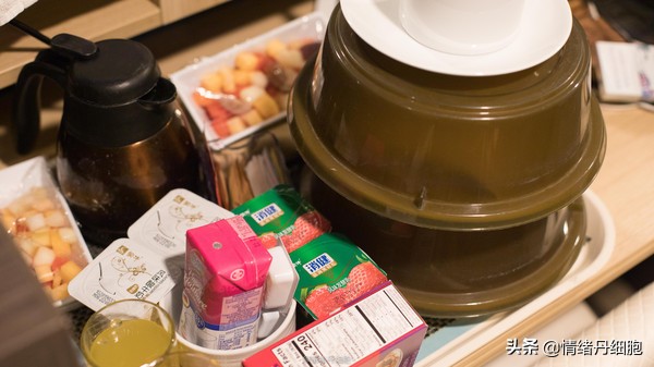 邮轮游选择哪个游轮好,邮轮旅游全攻略公主号