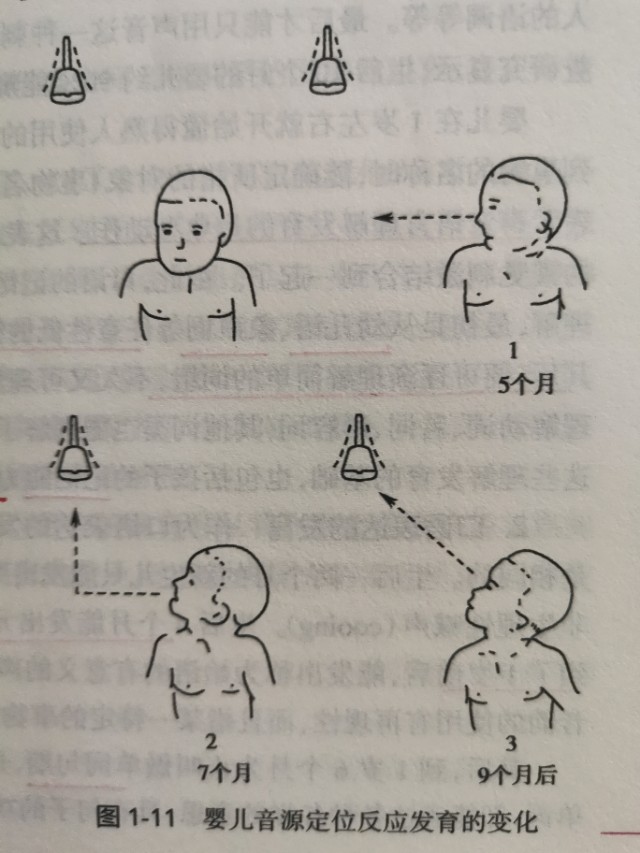 儿童语言能力的发育：掌握好方法，远离语言发育障碍