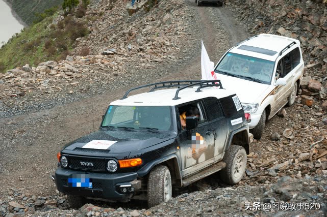 最好的虫草10斤虫草价值多少,正宗西藏鲜虫草多少钱一斤