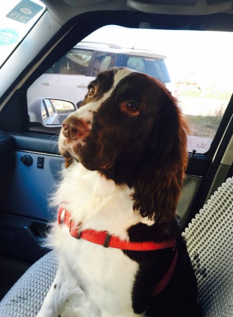 letsgo带你去兜风,letsgo旅行视频