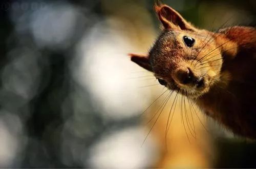 广州治愈心情的地方,可以治愈心情的城市