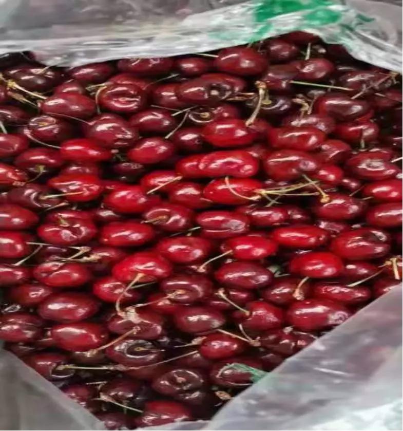 年货省心节,鄂尔多斯农产品年货节