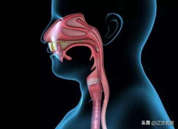 热不灼唇寒不冰齿,食管癌吃什么治疗