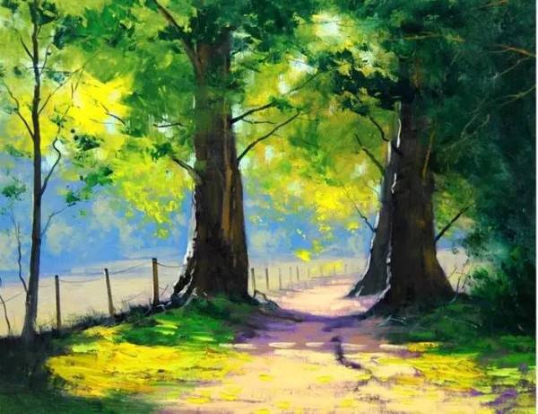 致橡树说的什么,致橡树全文完整版