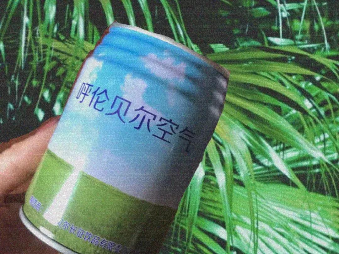 我的第一双皮鞋,我的第一双小皮鞋