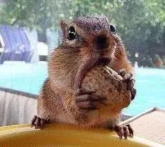 泫雅减肥前后对比照片,泫雅减肥舞原视频